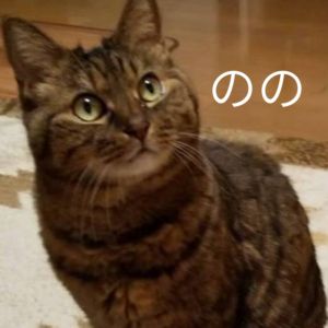 初代保護猫のの